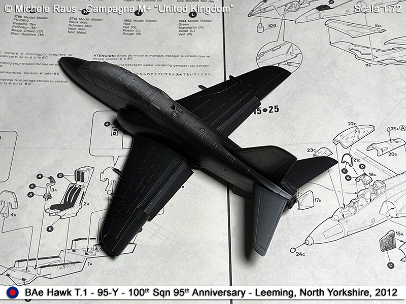 Hawk_42