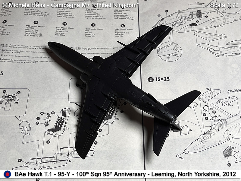 Hawk_43
