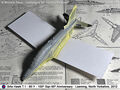 Hawk_46