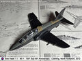 Hawk_50