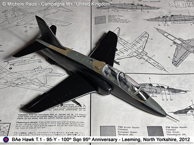 Hawk_51
