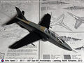 Hawk_51