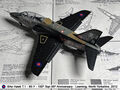 Hawk_56