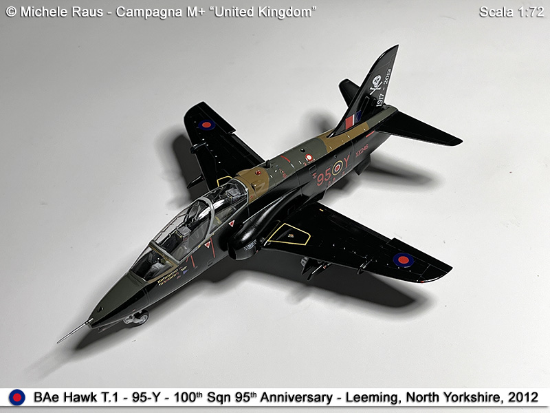 Hawk_60