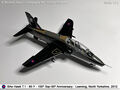Hawk_61