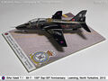Hawk_70
