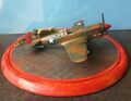 CP 2023 P-40E Revell Dont Worry 048