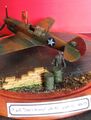 CP 2023 P-40E Revell Dont Worry 056