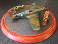 CP 2023 P-40E Revell Dont Worry 066