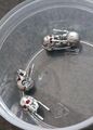 CS-F2024 - T2 JD 017