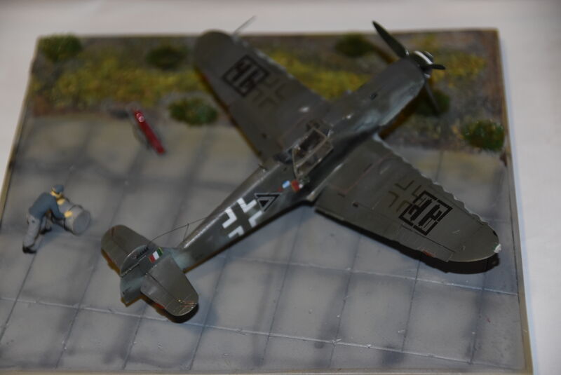 DSC_3151.JPG
