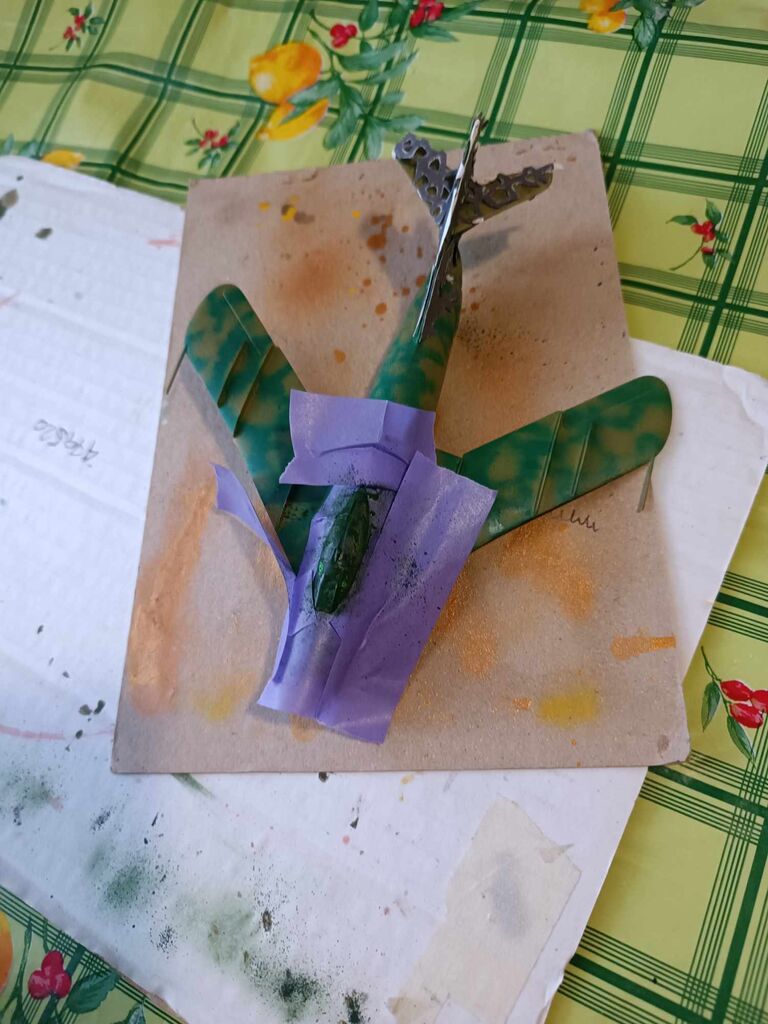 C50NAM040