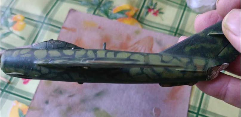 C50NAM066