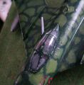 C50NAM099