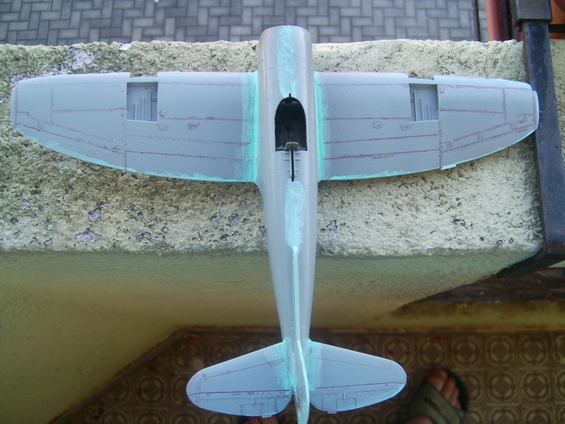 P-47 (4)