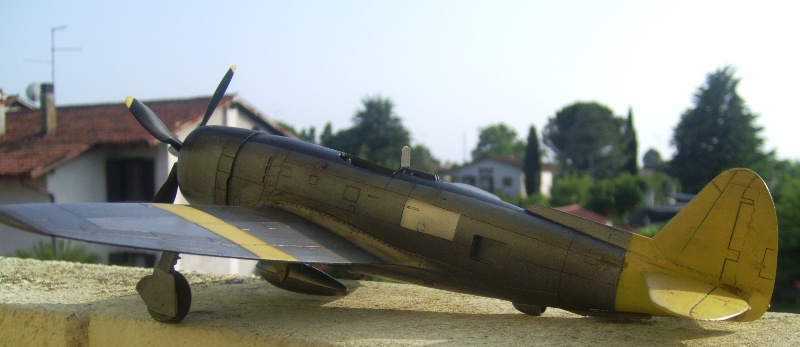 P-47 (11)