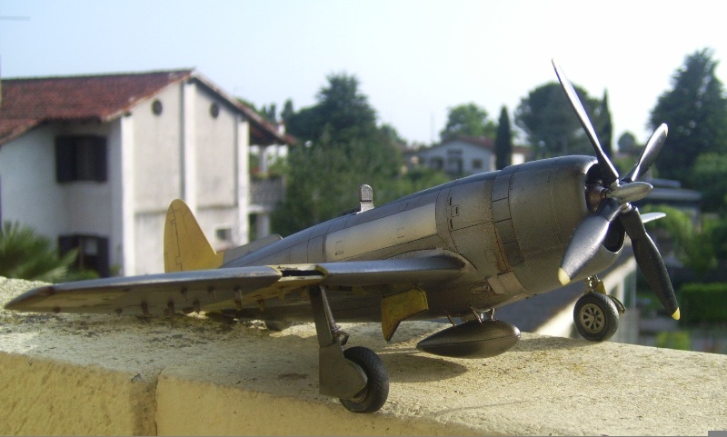 P-47 (13)