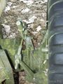 Cannone QF da17 libbre su supporto Mk2