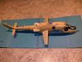 hind-12.JPG