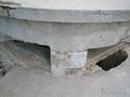 fortino_t019