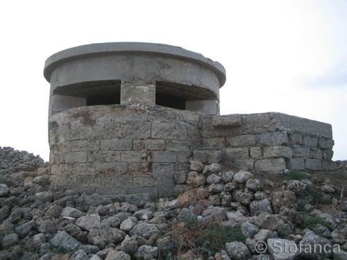 fortino_t020