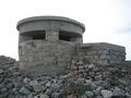 fortino_t020