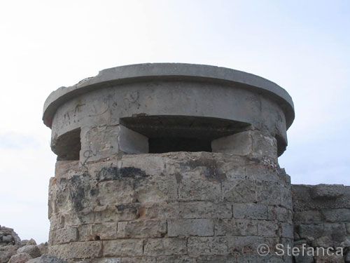 fortino_t013