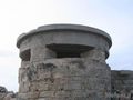 fortino_t013