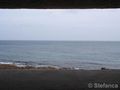 fortino_t015
