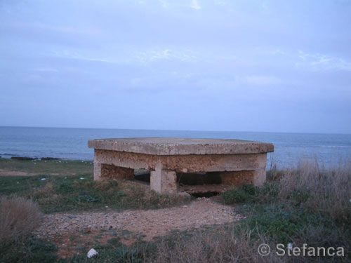 fortino_007