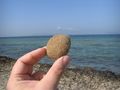 Pallina