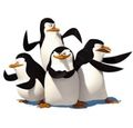 tornano-i-pinguini-di-madagascar-72766