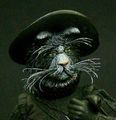 cat1
