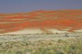 086 - la prima duna del Namib