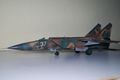 Mig 25 opaco (2)