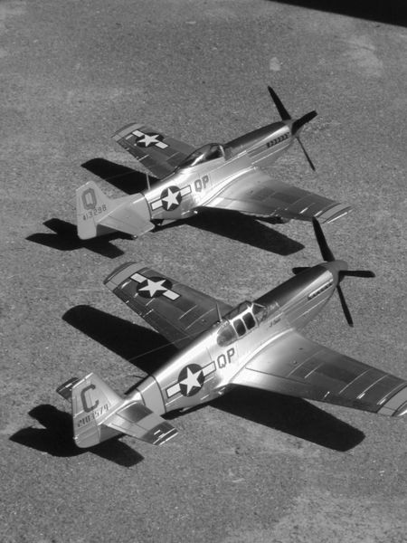 p51_bianconero