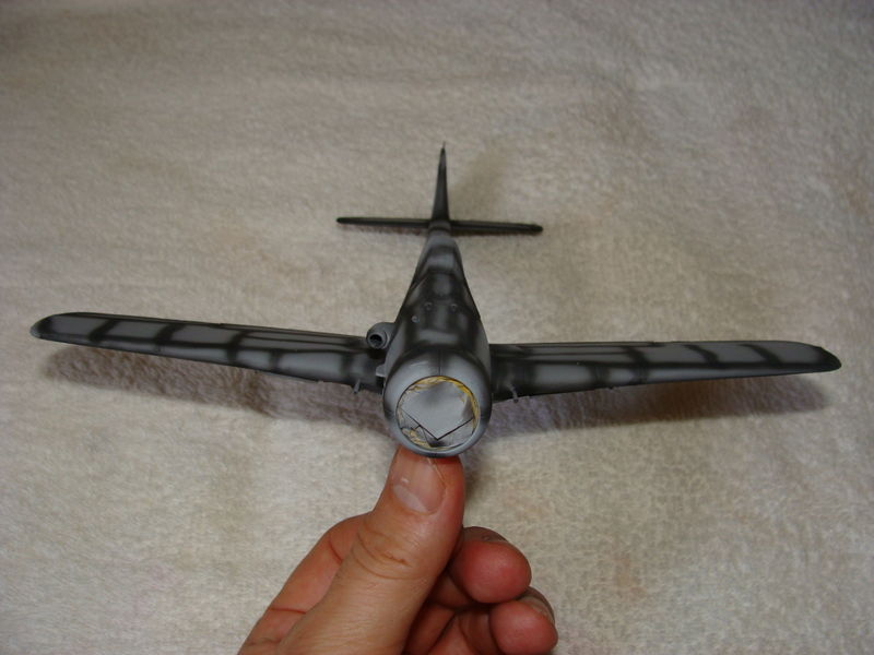 FW_016