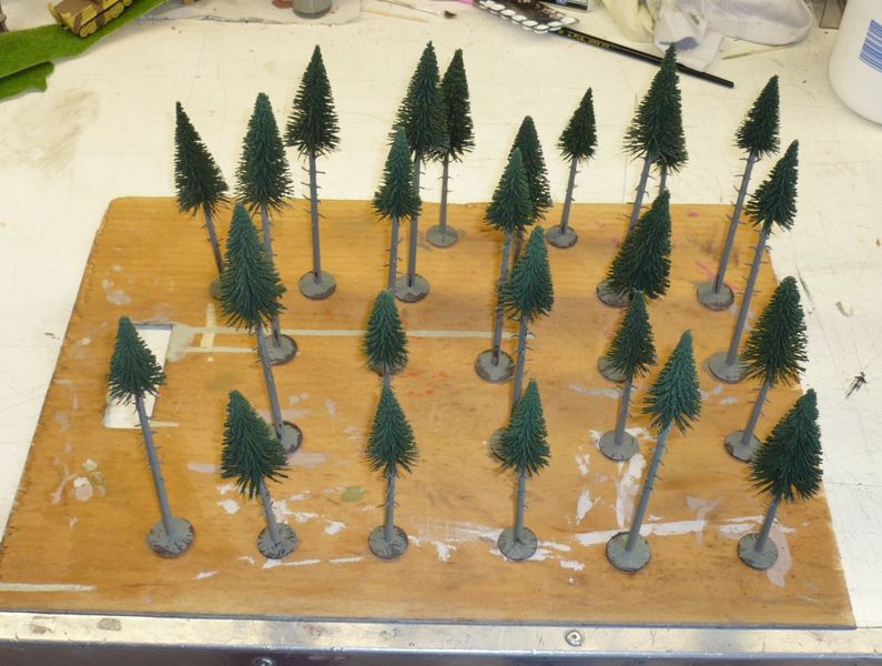alberi