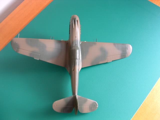 P-40B 020