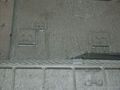 Dardo-Prot1-0068