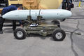 Eurosatory-2010-PARIS-082.jpg