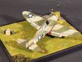 P 47 Thunderbolt scala 1-48 di regis davide dei Modellisti Canavesani.JPG