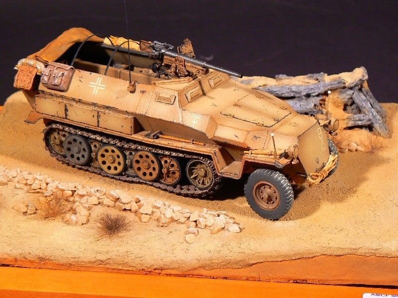 Sd Kfz 251-10 scala 1-35 di  Davide Buso.JPG