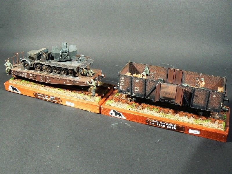 Vagoni OMMR e SSY Flak di Callegari Franco GM PAT Padova.JPG