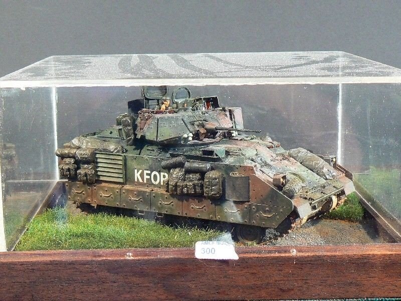 M2A2ODS Bradley scala 1-35 di Noli Michelangelo Black Sheep Sondrio.JPG