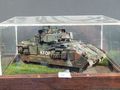 M2A2ODS Bradley scala 1-35 di Noli Michelangelo Black Sheep Sondrio.JPG