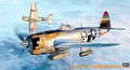 P_47D_25_THUNDERBOLT.jpg