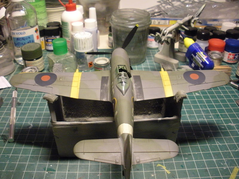 TYPHOON _8-finito 