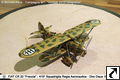 Michele Raus - Fiat CR.32