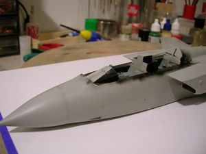 Tornado IDS - 027.JPG